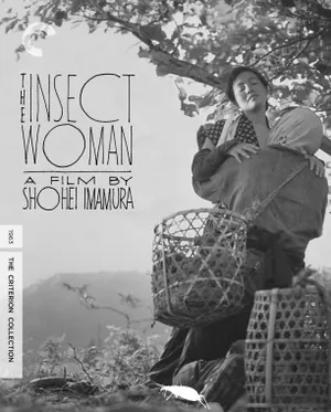 The Insect Woman