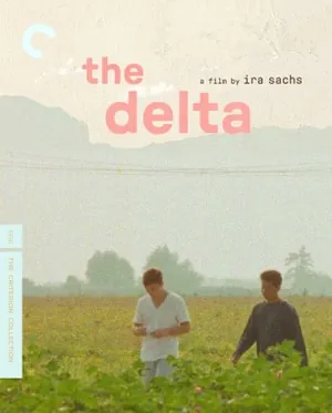 The Delta