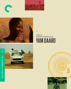 Yam daabo
