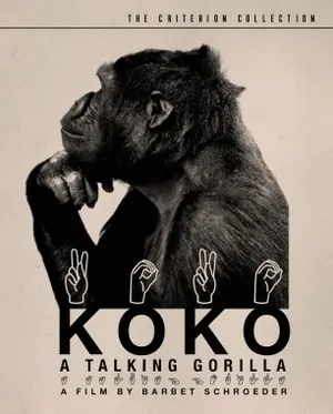 Koko: A Talking Gorilla